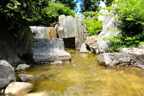 A natural water feature with rocks and greenery. - Il Carrettino Country Hotel (Tortona)
