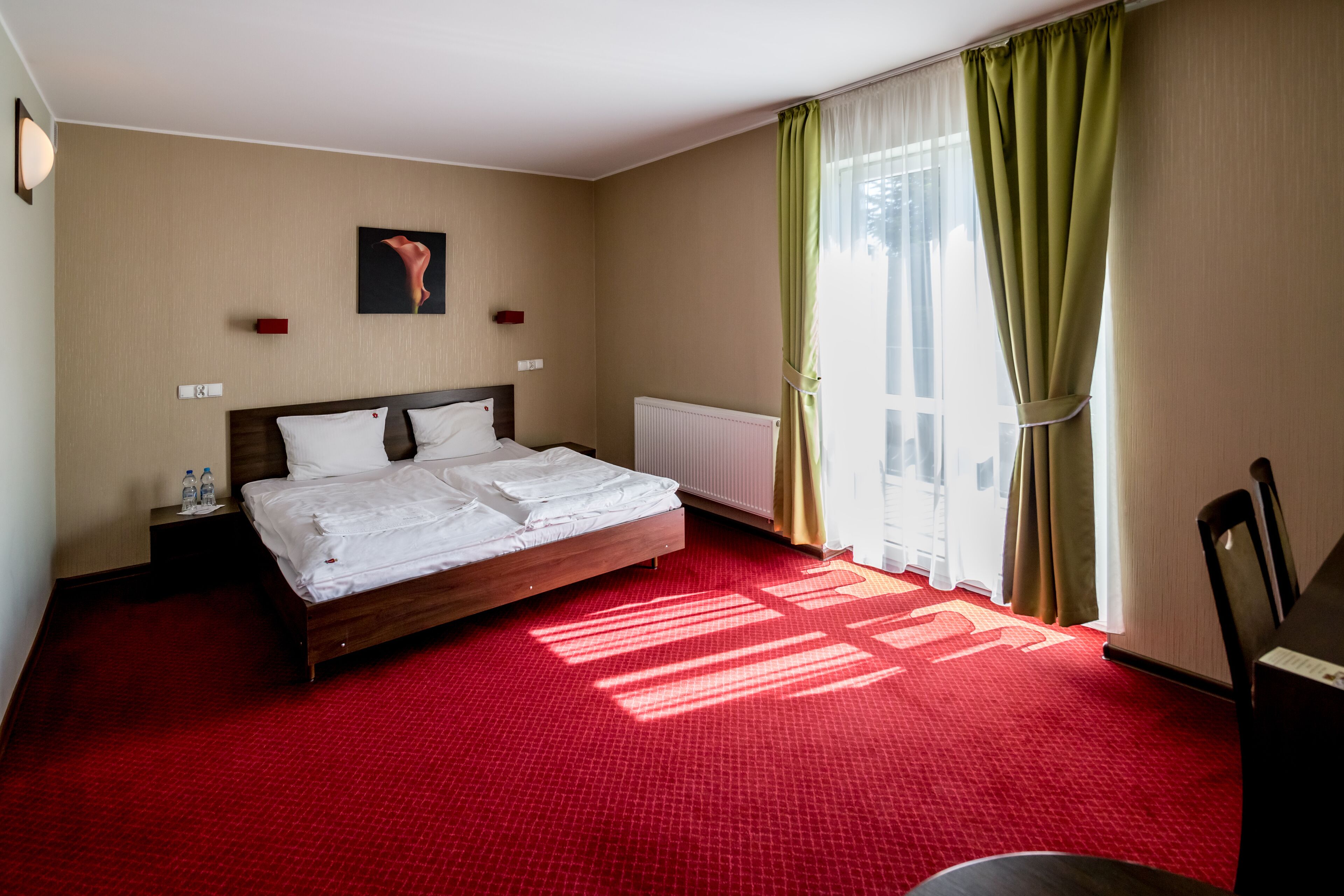 basic room | 1 bedroom, desk, iron/ironing board, free wifi