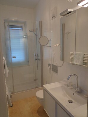 A modern bathroom with a glass-enclosed shower, a toilet, a sink with a mirror, and a towel rack.