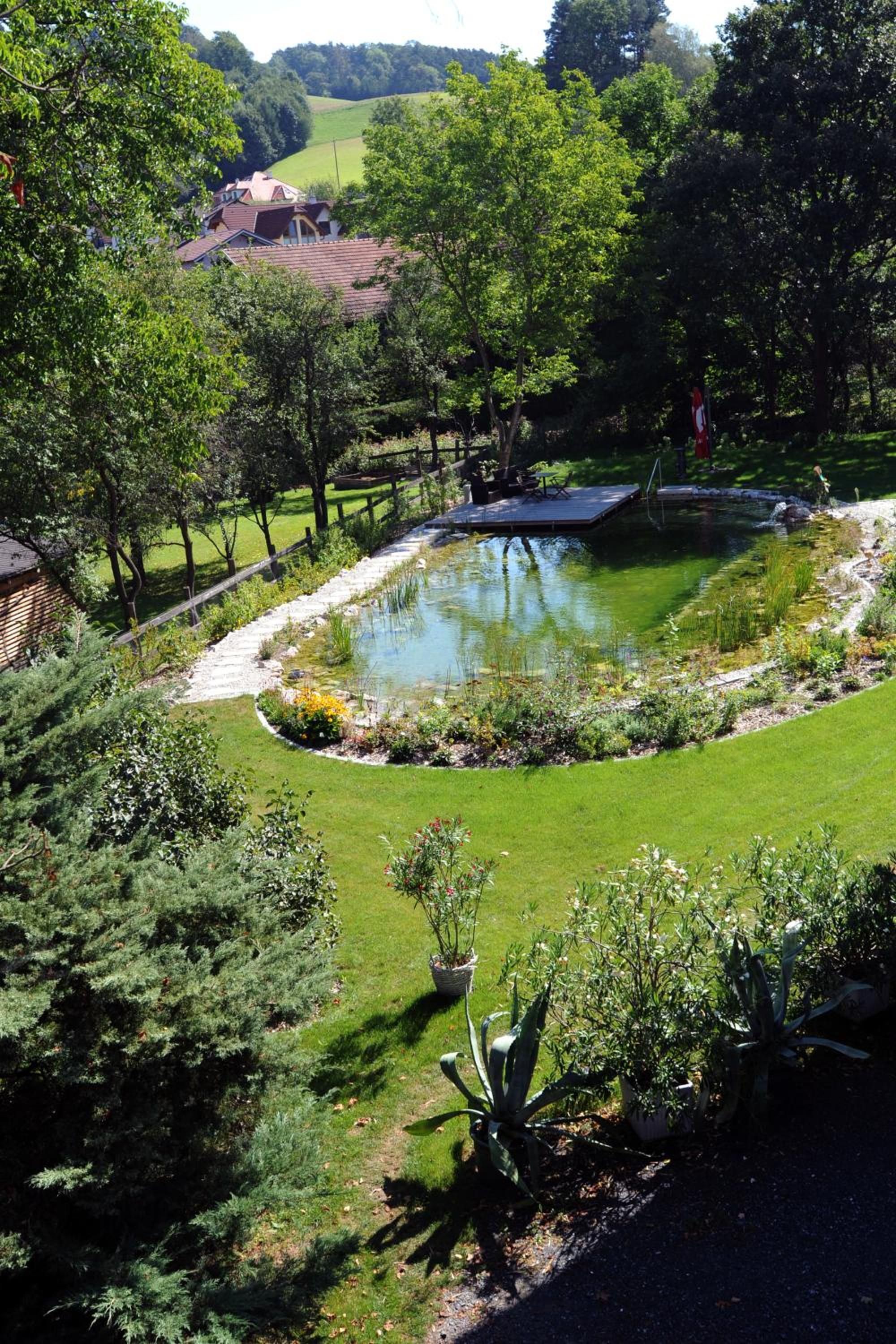 A well-maintained garden with a pond, surrounded by a variety of plants and trees.