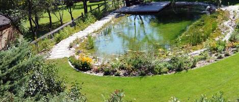 A well-maintained garden with a pond, surrounded by a variety of plants and trees.