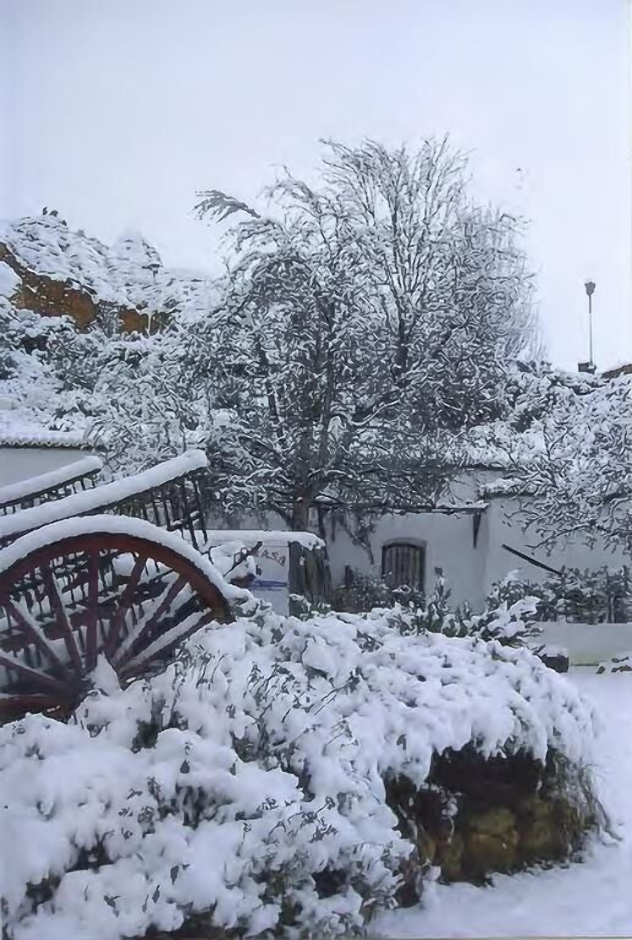 A snow-covered courtyard with a traditional water wheel, a tree, and a building.