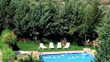 Una piscina rodeada de abundante vegetación y cómodas sillas de descanso blancas.