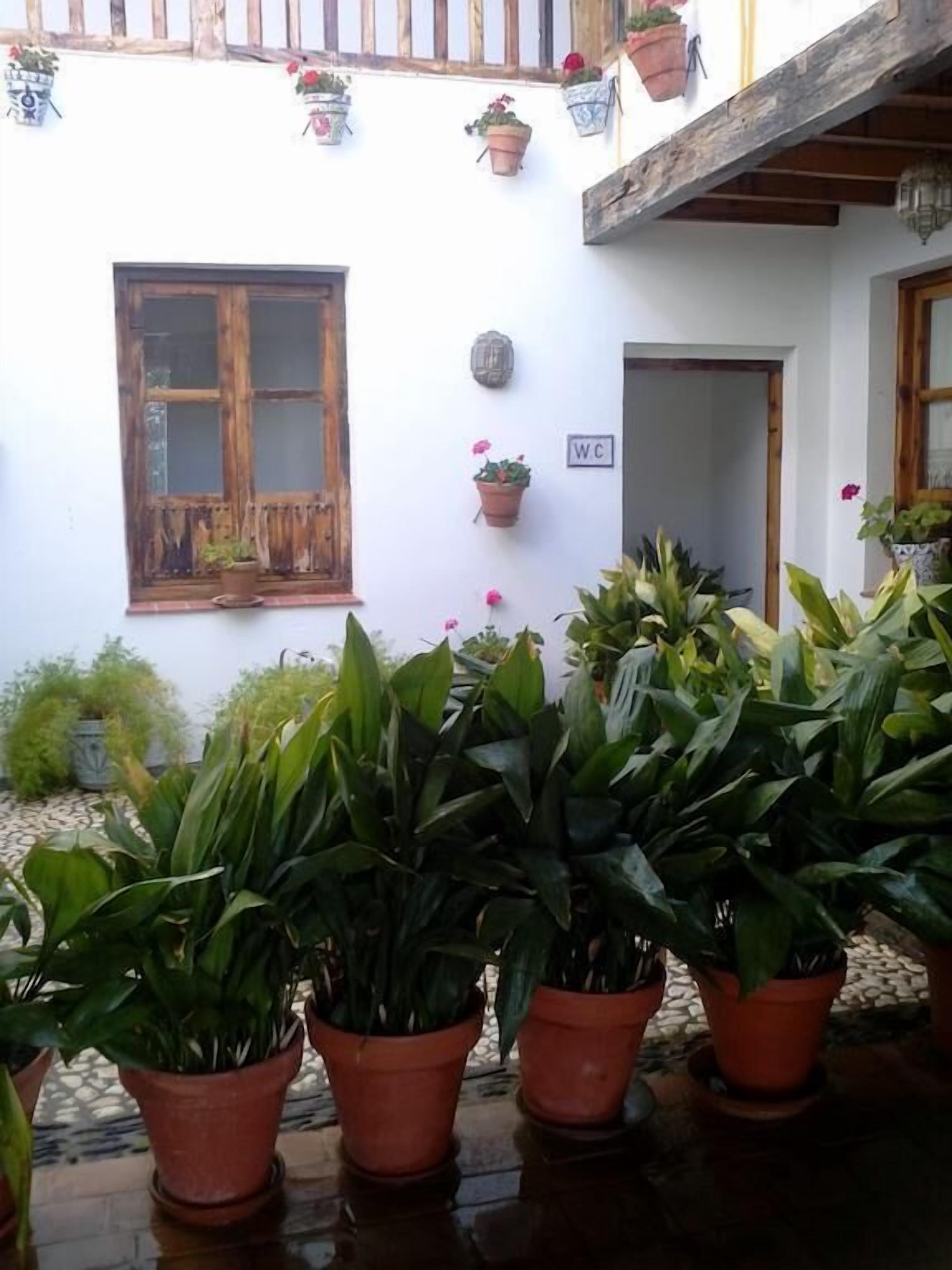 Un cortile con piante in vaso, una finestra in legno e un cartello con la scritta 'WC'.