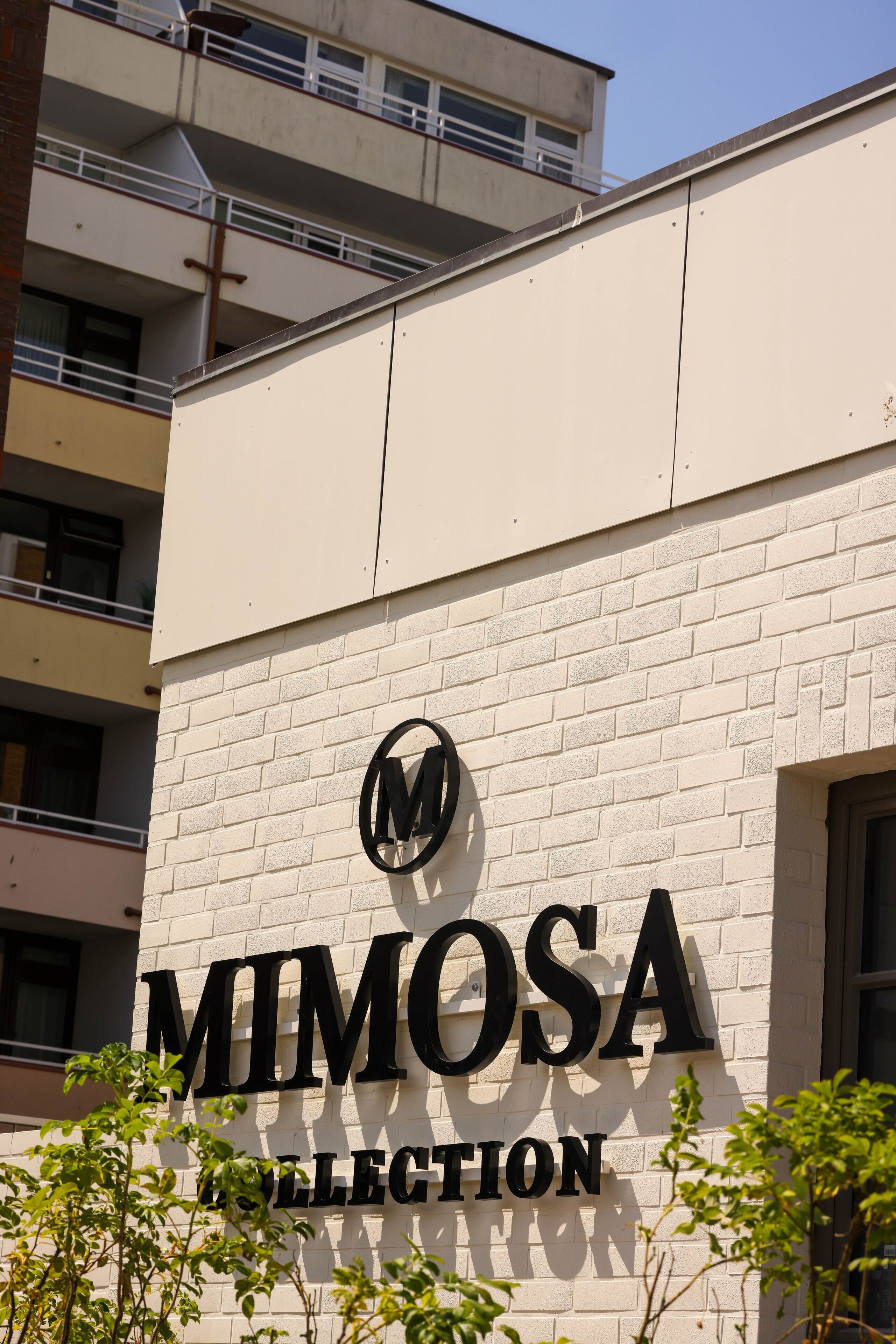 Un bâtiment sur lequel on peut lire l’inscription « COLLECTION MIMOSA ».