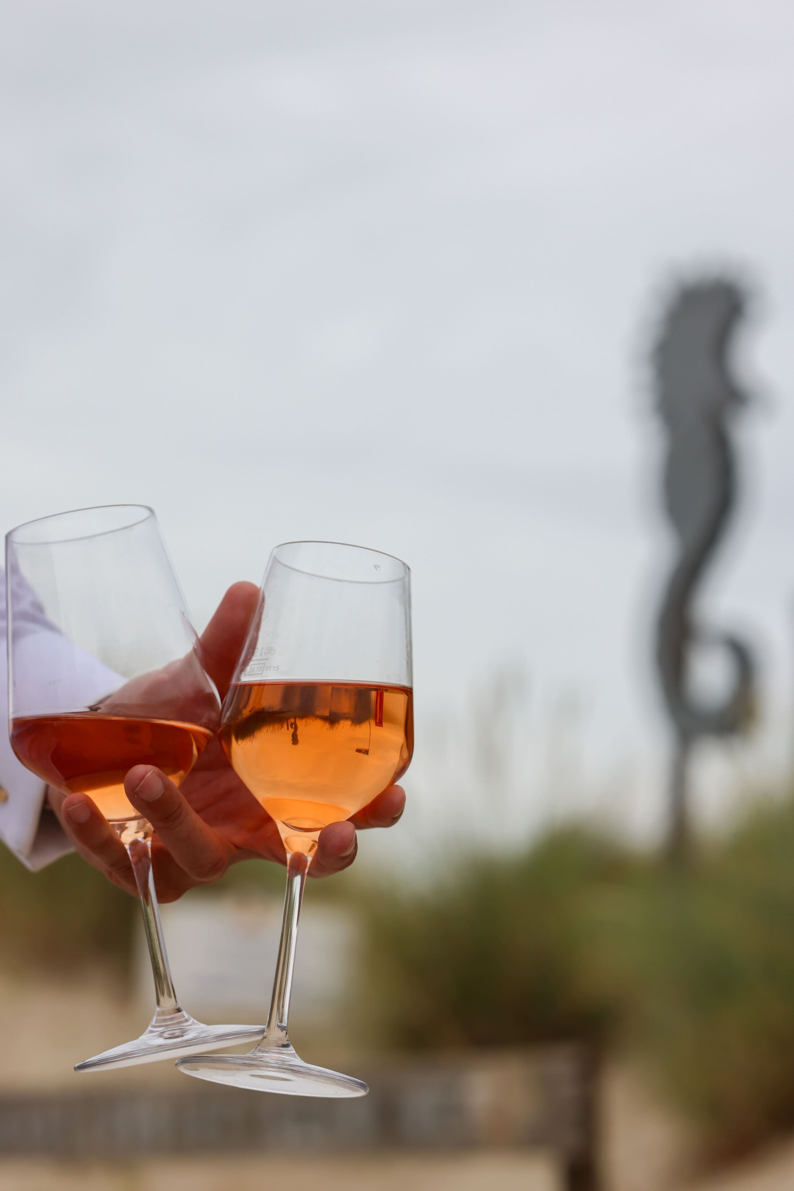 Una persona sostiene dos copas de vino.