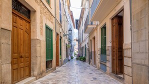 A narrow cobblestone street flanked by buildings with wooden doors and green shutters.