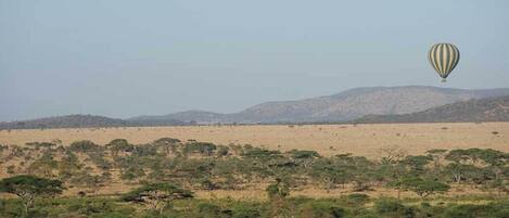 Um balão de ar quente em uma paisagem de savana com árvores esparsas e colinas ao longe.
