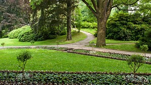 Un jardín exuberante con un sendero serpenteante, árboles grandes y setos bien cuidados.