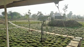 Vista desde la habitación