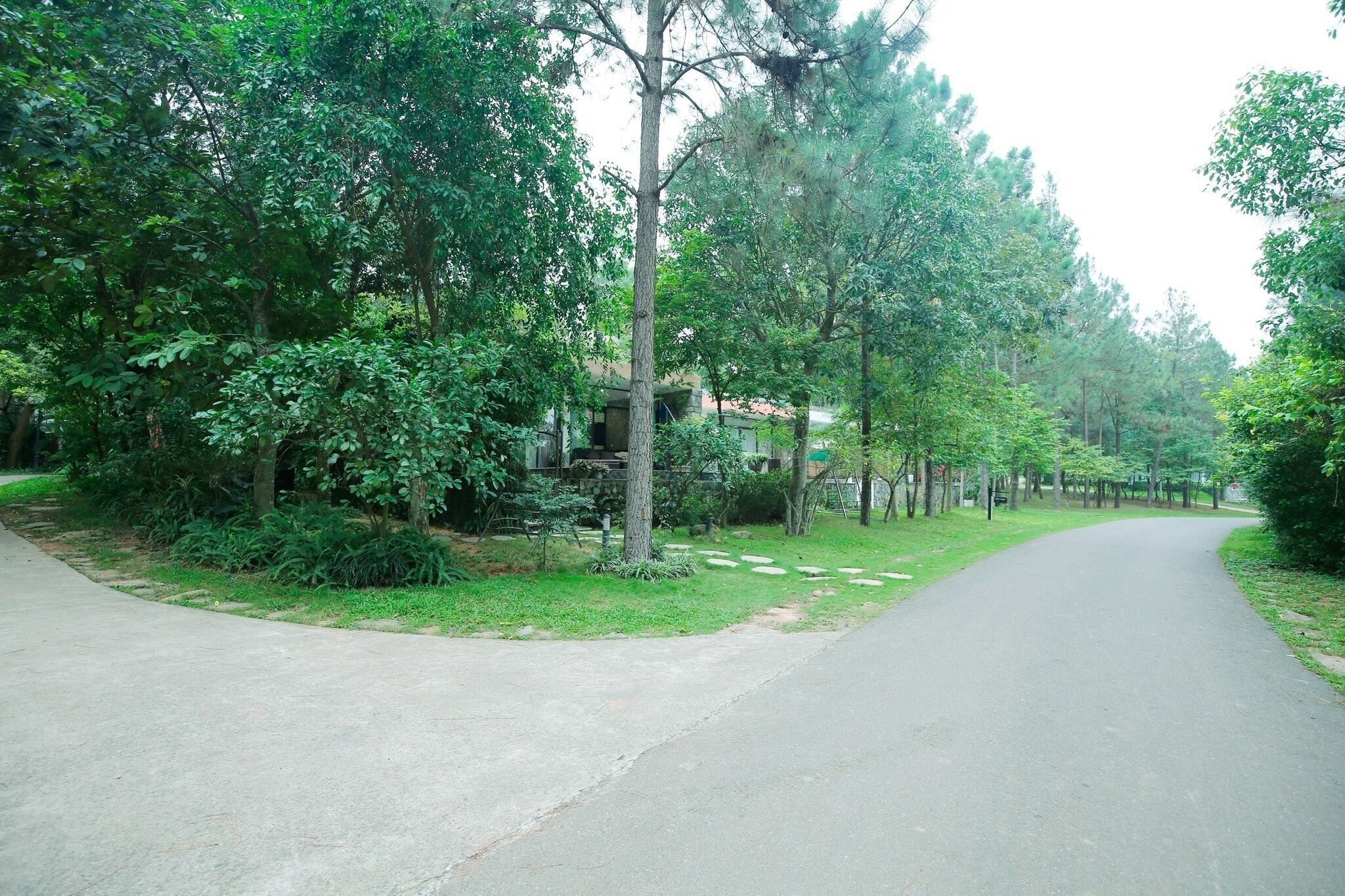 A paved pathway flanked by lush greenery and trees, leading to a building with a visible entrance.