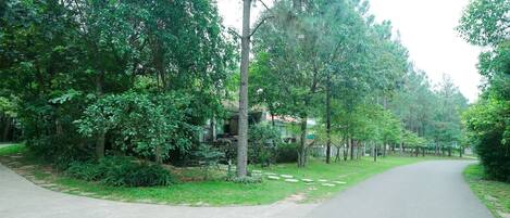 A paved pathway flanked by lush greenery and trees, leading to a building with a visible entrance.