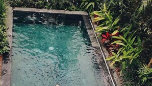 Une personne flotte dans une piscine rectangulaire, entourée d’une végétation luxuriante.