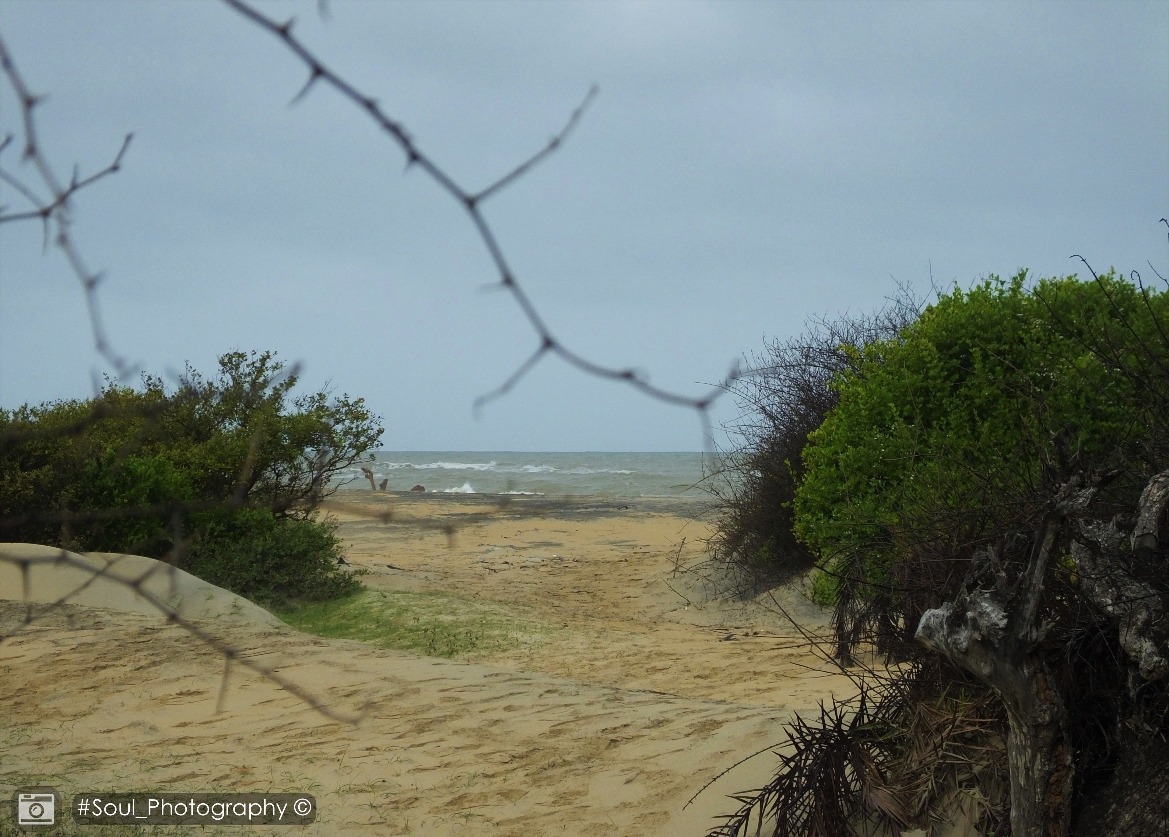 A sandy beach with a view of the ocean, surrounded by greenery and a fence.