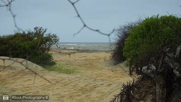 A sandy beach with a view of the ocean, surrounded by greenery and a fence.