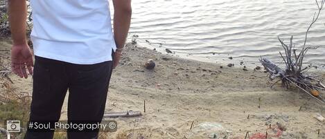 A person standing by a calm body of water with a sandy shore.