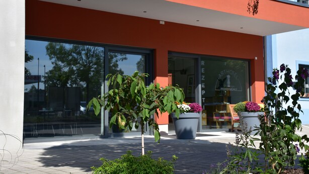 A modern hotel exterior with large windows, potted plants, and a clear view of the street.