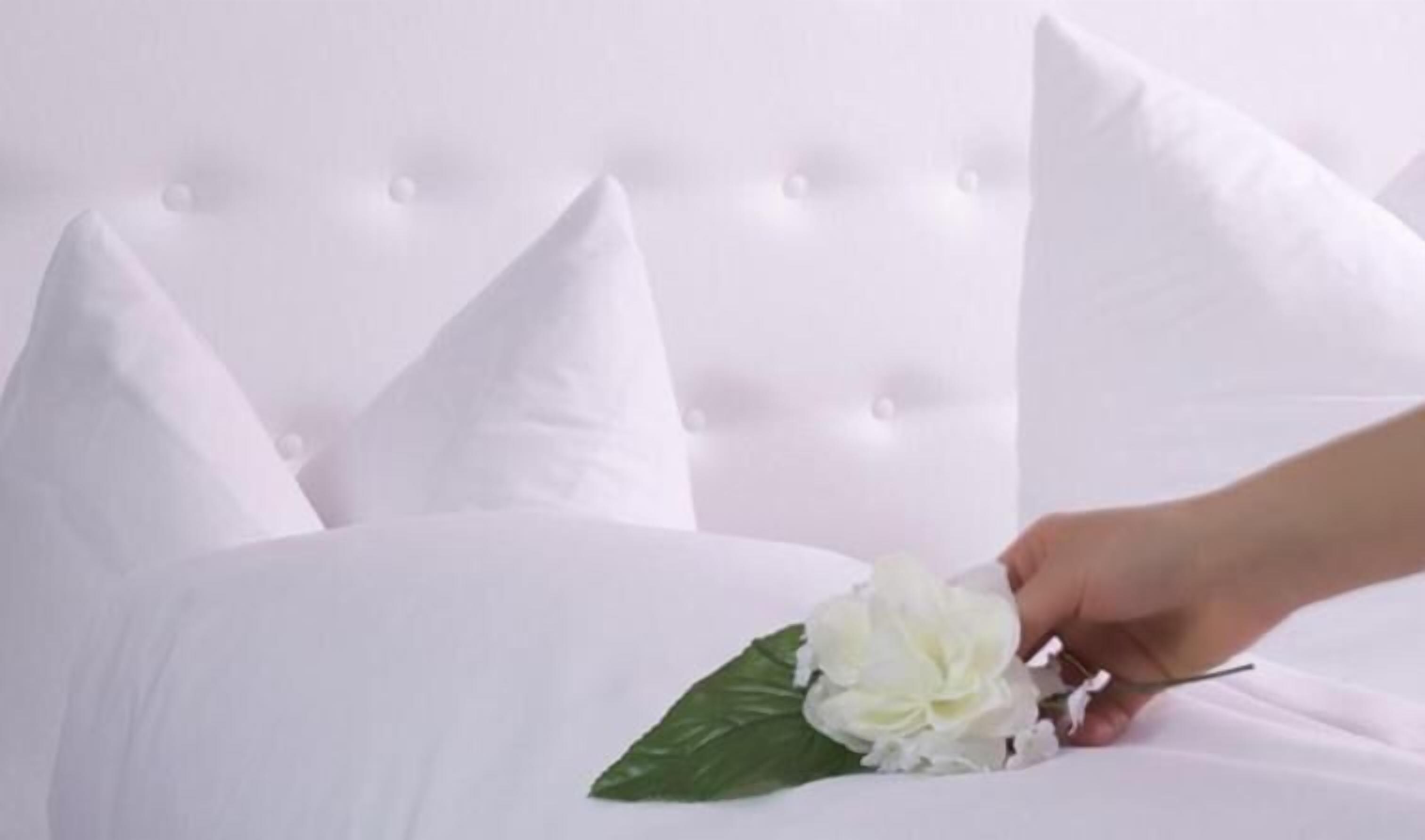 in-room safe, individually decorated, desk, blackout curtains