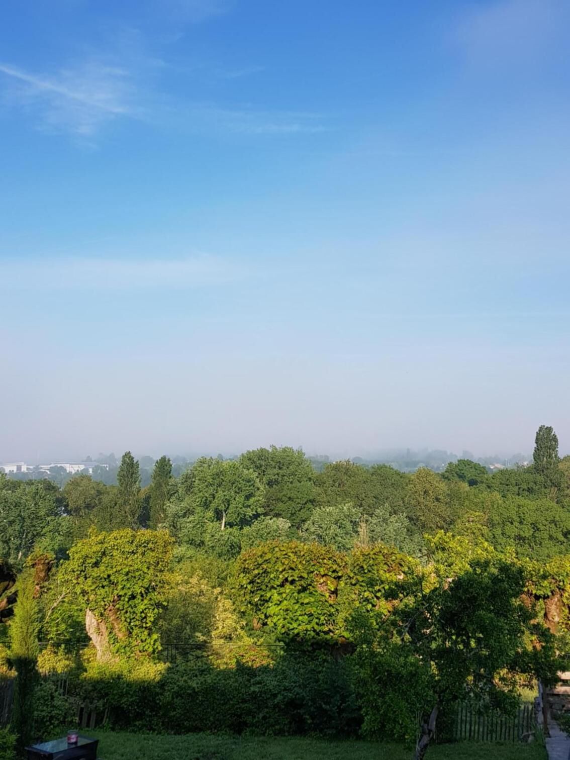 A lush green landscape with dense foliage and a clear blue sky.
