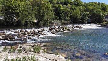 A river with clear water flowing over rocks, surrounded by dense green trees.