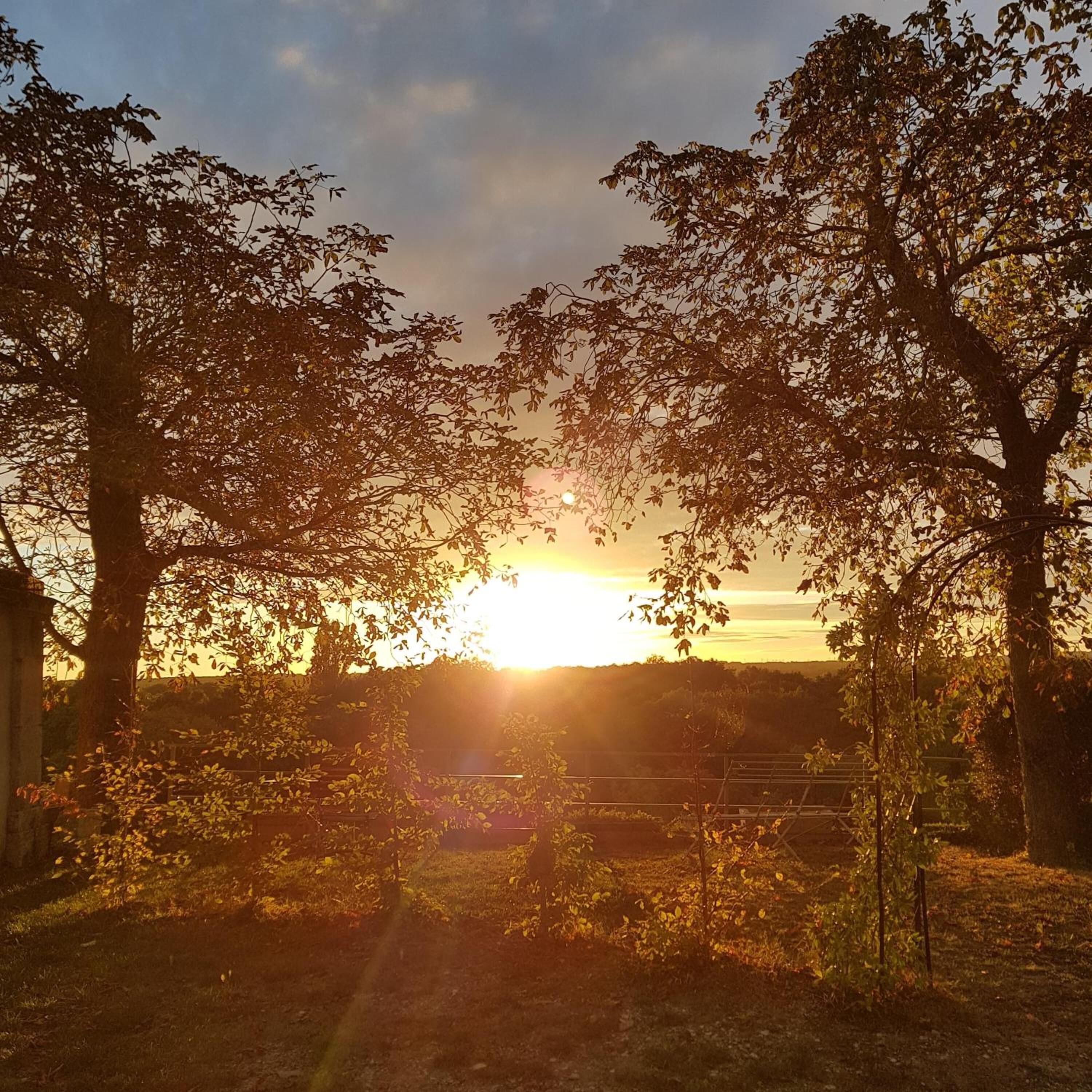 A sunset view through trees with a fence in the foreground.