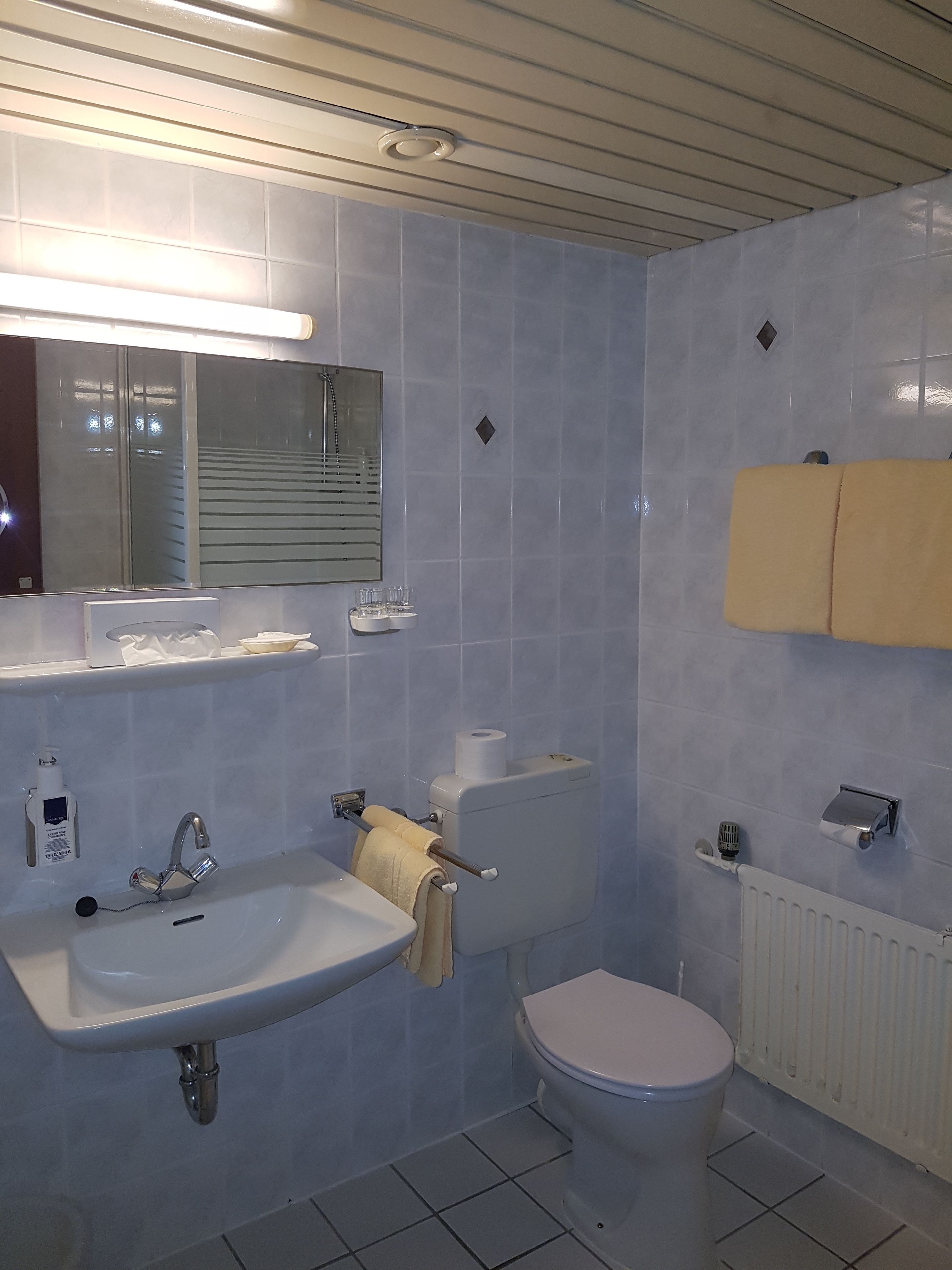 A bathroom with a sink, toilet, and mirror. There is a towel hanging on the wall, a toilet paper holder, and a soap dispenser.