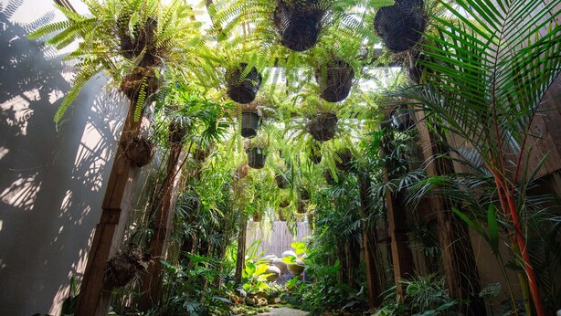 A lush indoor garden with a gravel path, dense foliage, and hanging planters. - The Bridge An Eclectic Luxotel Chiangmai (Chiang Mai)