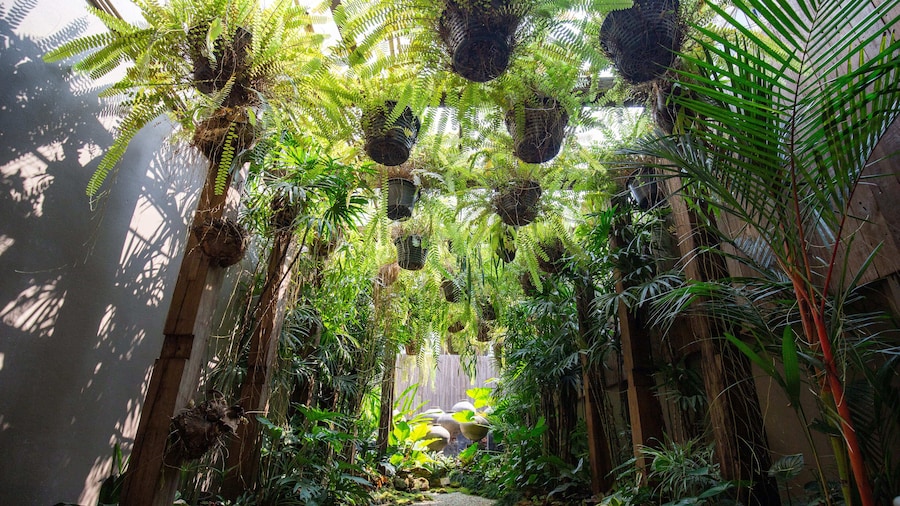 The Bridge An Eclectic Luxotel Chiangmai