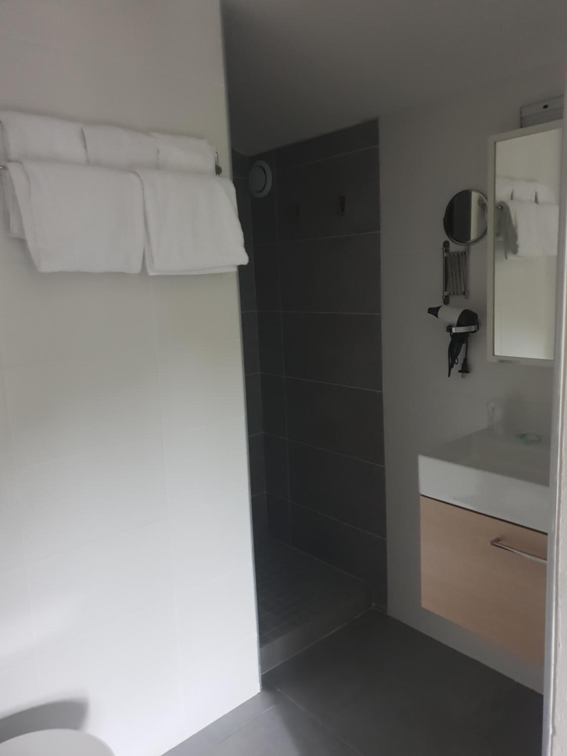 A bathroom with a shower, a sink, and a mirror.