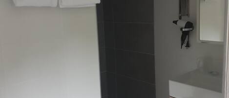 A bathroom with a shower, a sink, and a mirror.