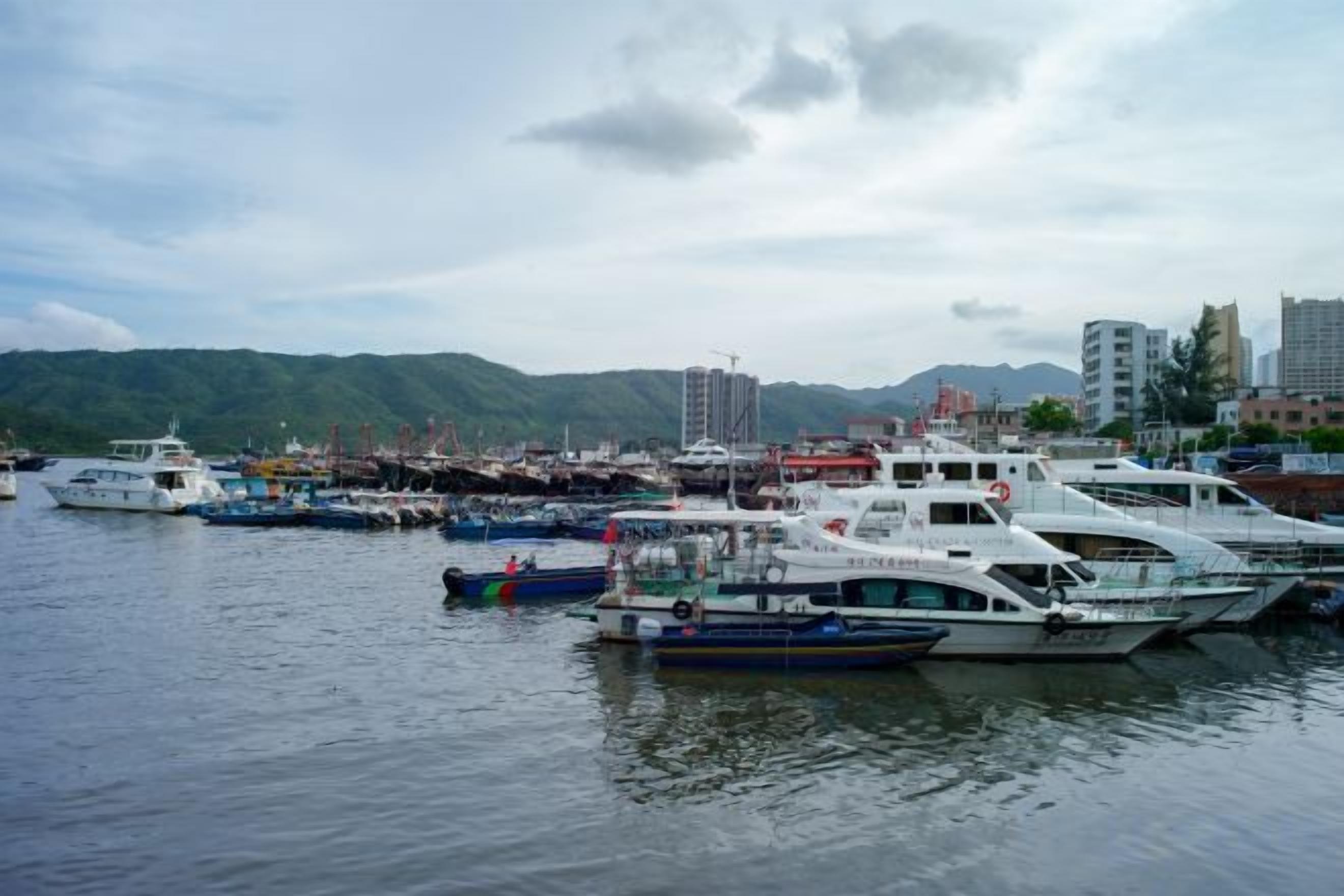 A marina with multiple boats docked, a clear sky, and a mountainous backdrop.