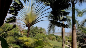 Ein tropischer Garten mit unterschiedlicher Bepflanzung und einem Weg zum Strand.