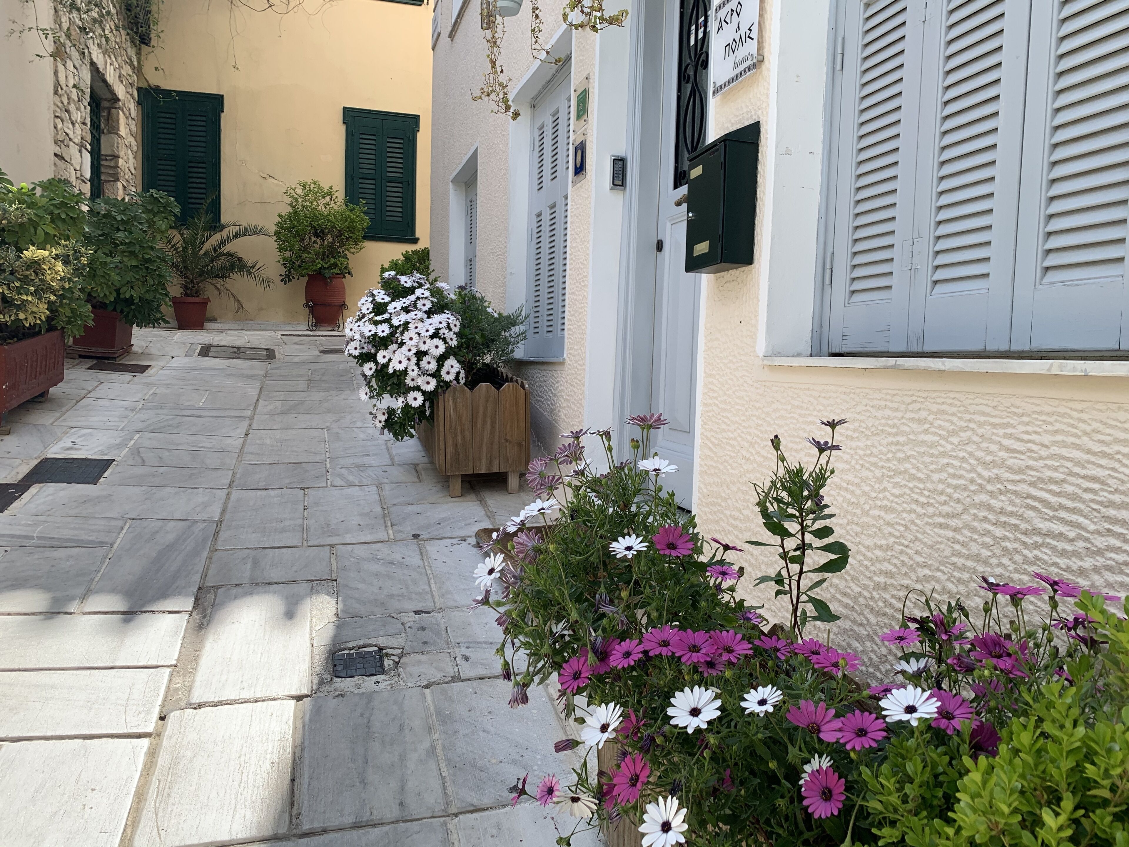 A narrow street with stone pavement, potted plants, and buildings with shutters.