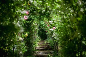 A stone staircase surrounded by lush greenery and flowering plants. - Dwor W Odonowie (Kazimierza Wielka)