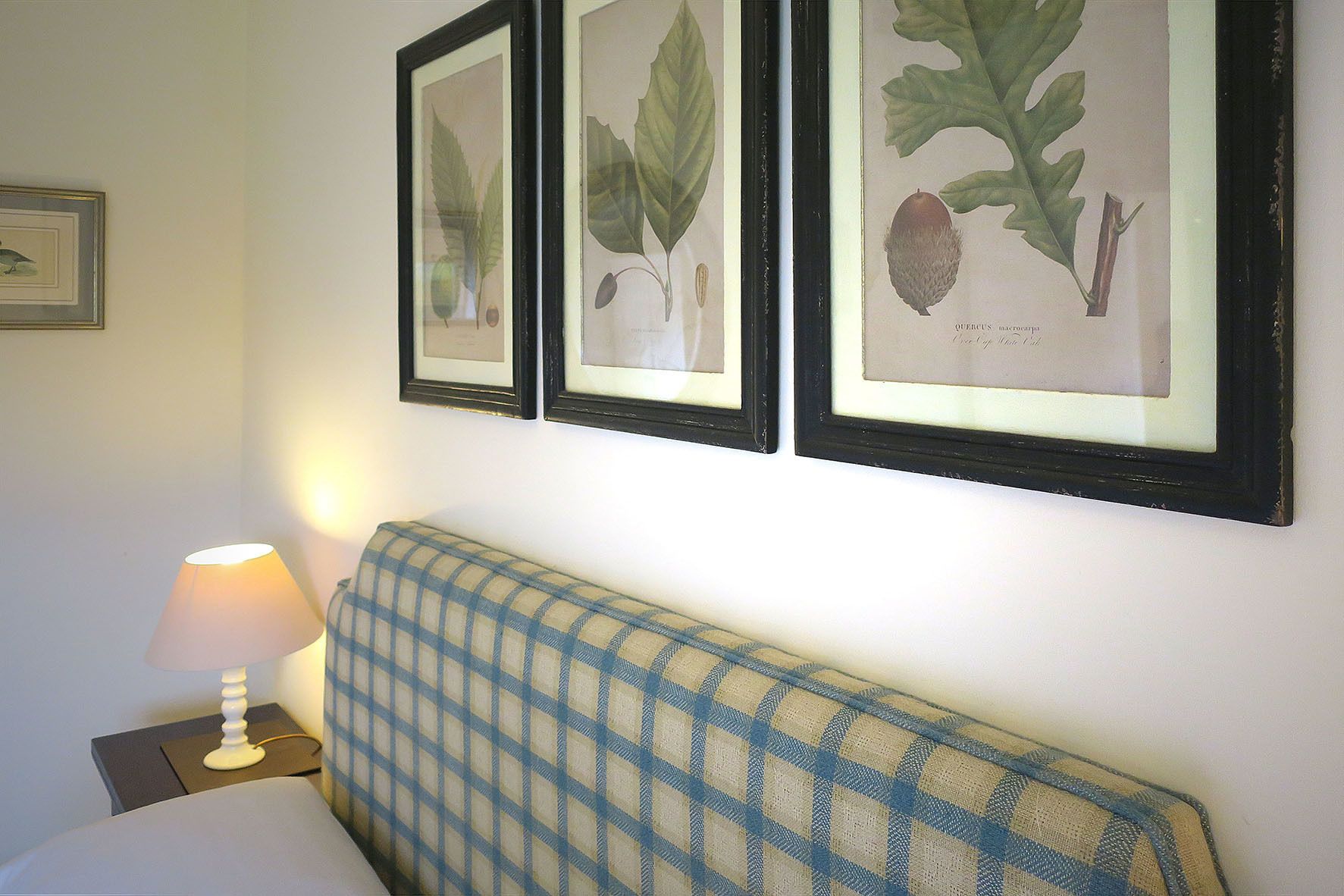 A room with a checkered headboard, a framed botanical print on the wall, and a bedside lamp.
