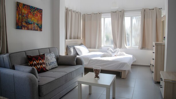 Studio classique, 1 grand lit et 1 canapé-lit, non-fumeur | Aire de séjour