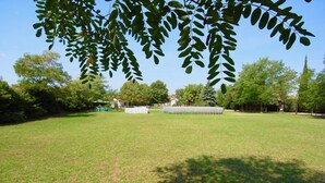Un espace extérieur verdoyant, avec des arbres et un ciel dégagé.