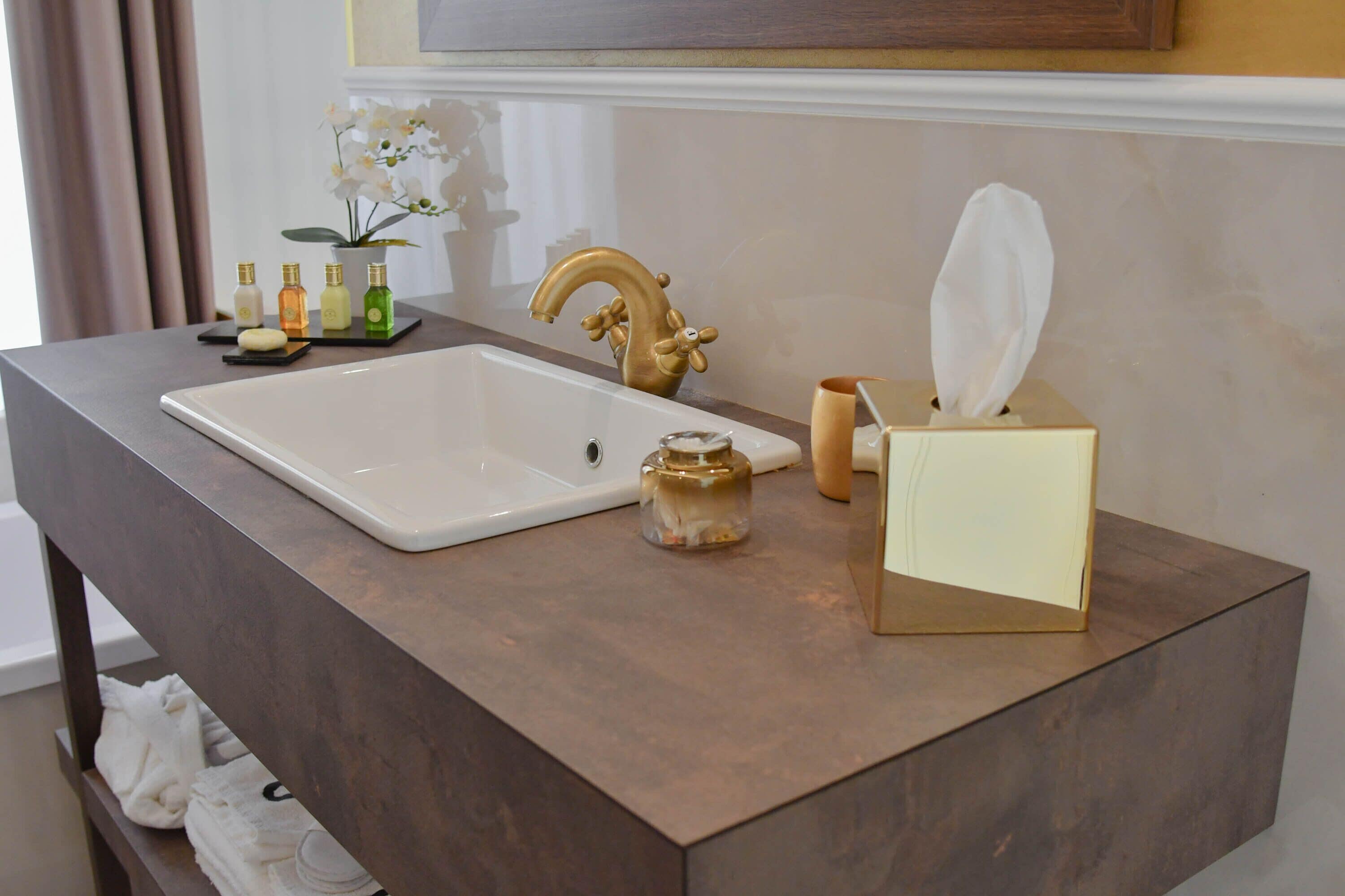 A bathroom with a large white sink, a gold faucet, a tissue box, and a small vase with flowers.