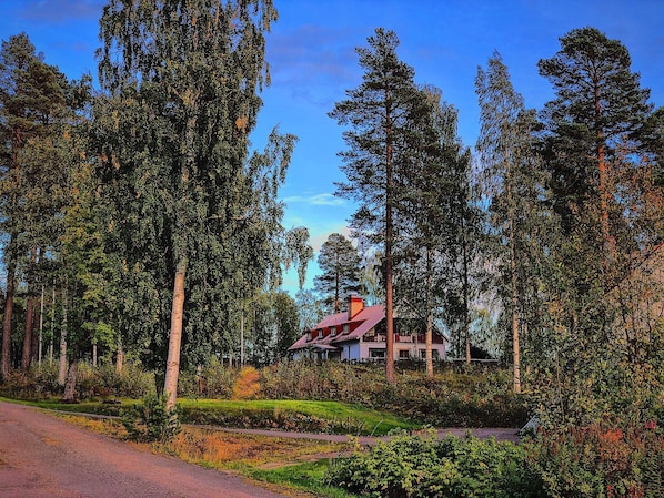 A house surrounded by tall trees and a clear sky.