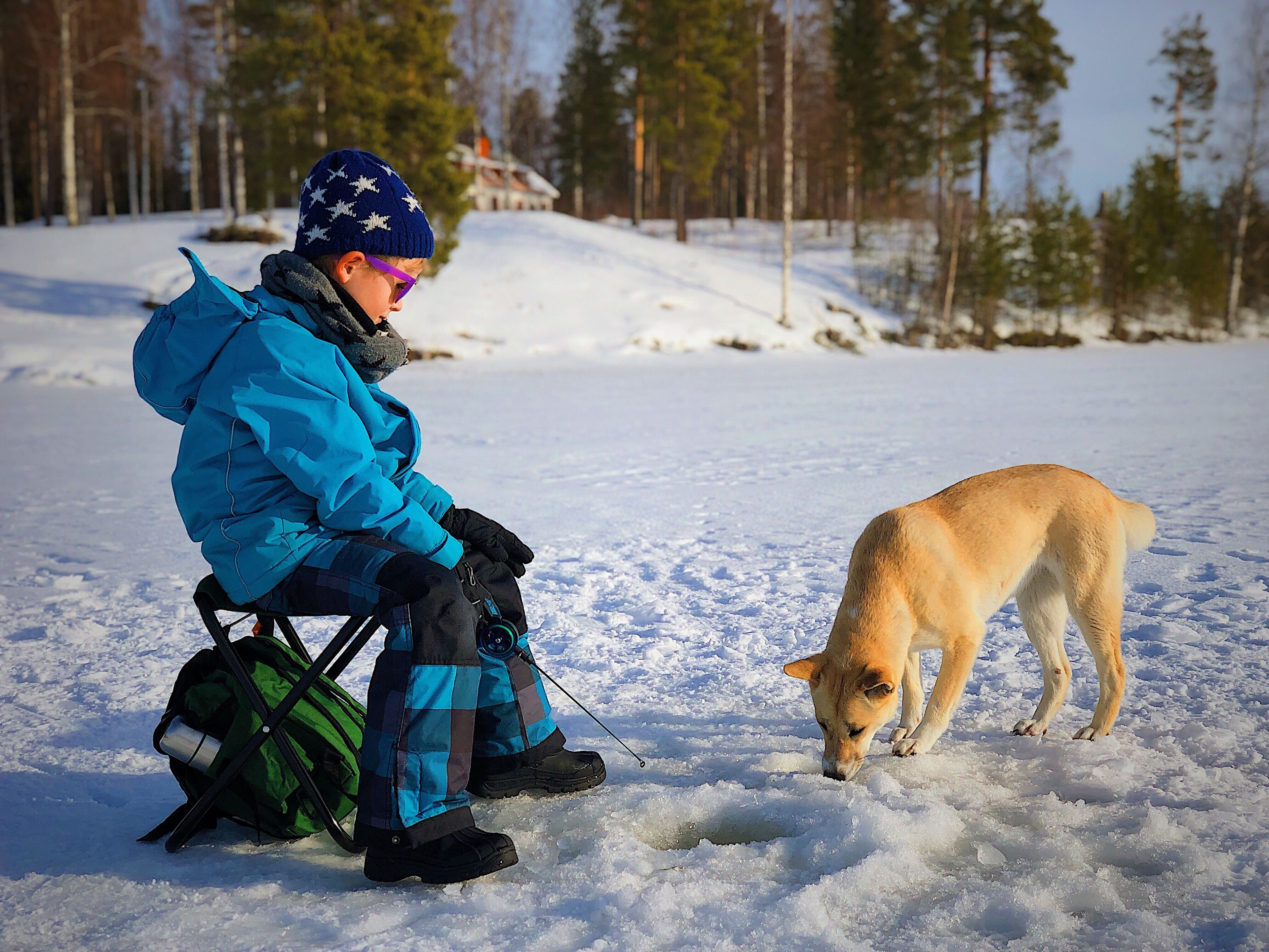 Eine Person sitzt auf einem Stuhl in verschneiter Landschaft, ein Hund ist in der Nähe.