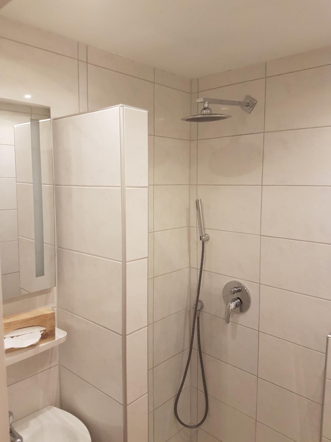 A modern bathroom with a shower, toilet, and a mirror.