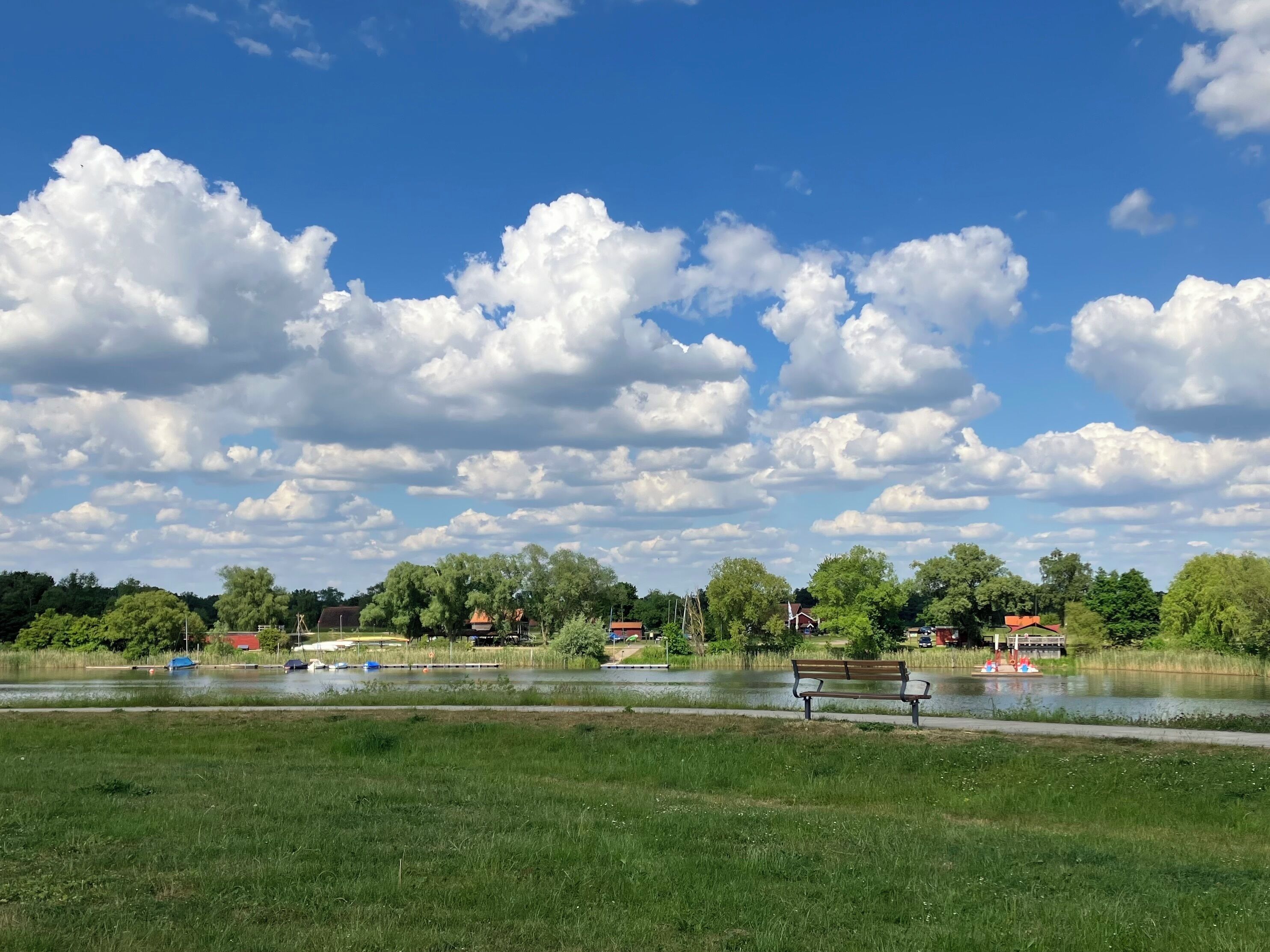 A park with a lake, trees, and a bench.