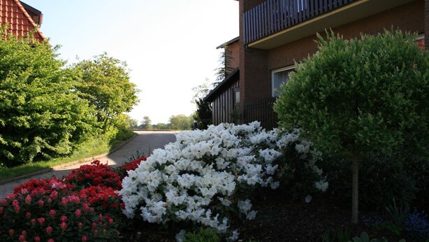 A residential street with a row of houses, a sidewalk, and a variety of flowering plants. - Hotel Seeblick Garni (Gartow)