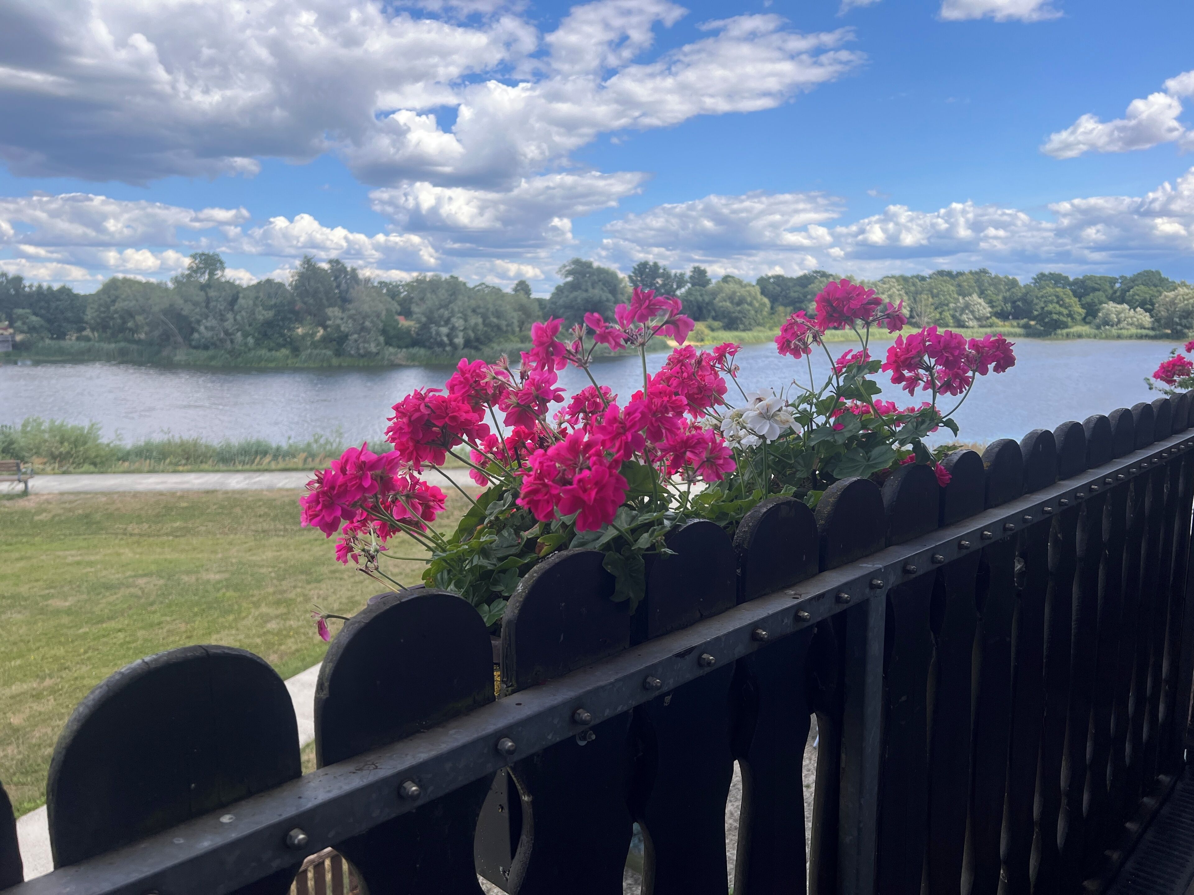 A view of a lake with pink flowers in the foreground and a wooden fence.