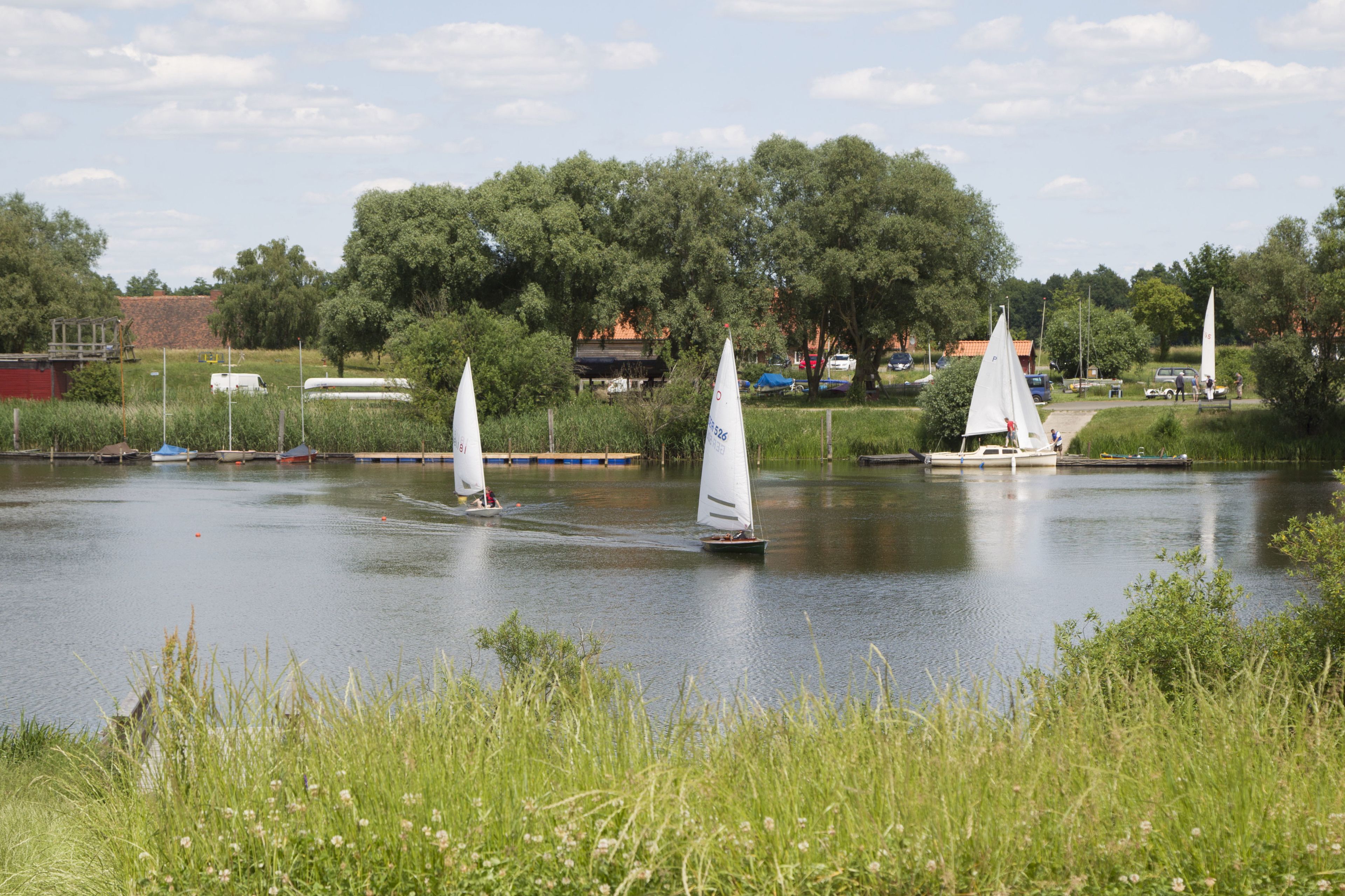 Un lago tranquilo con veleros, rodeado de vegetación y árboles.