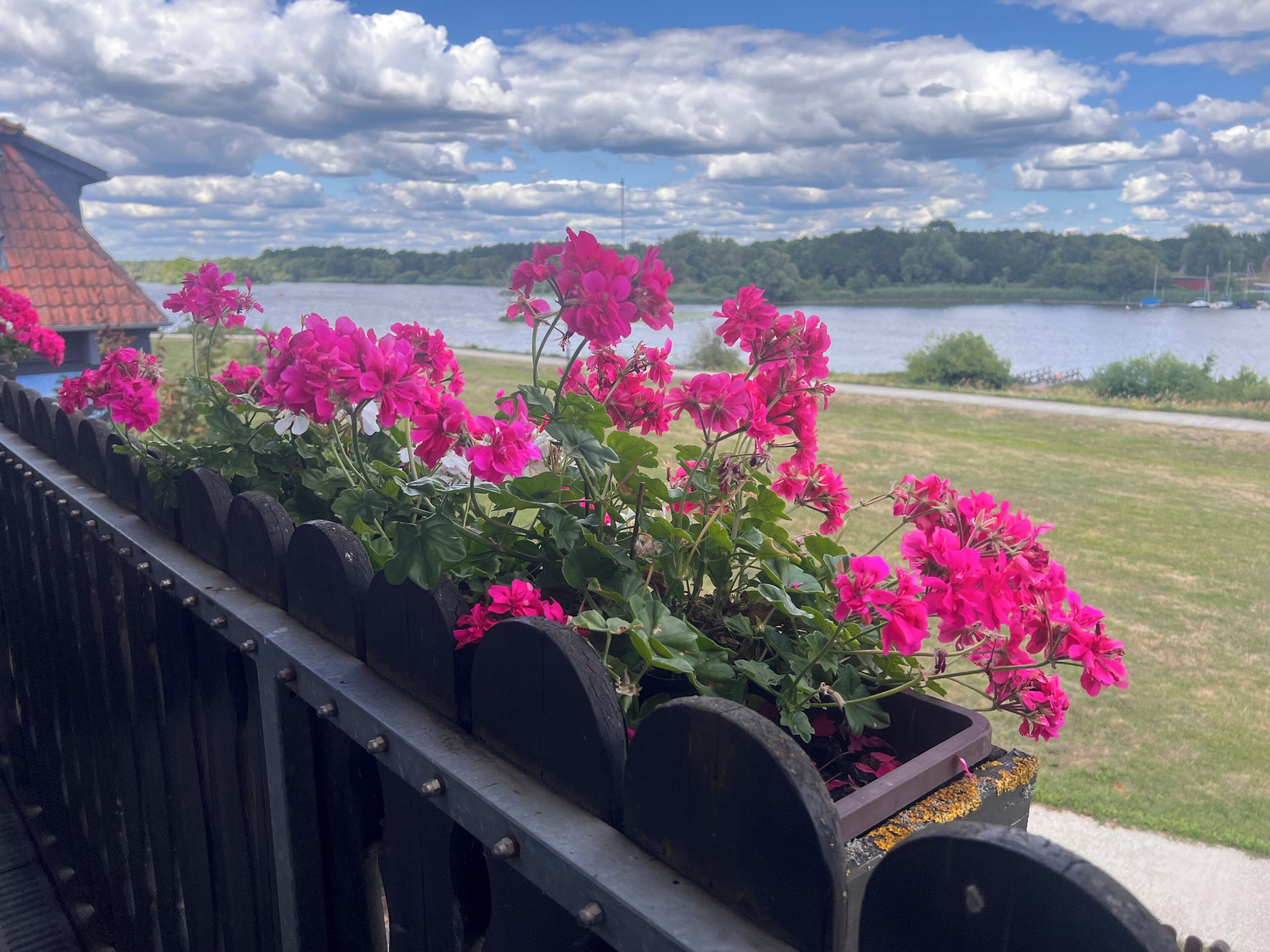 Double Room Single Use, Lake View