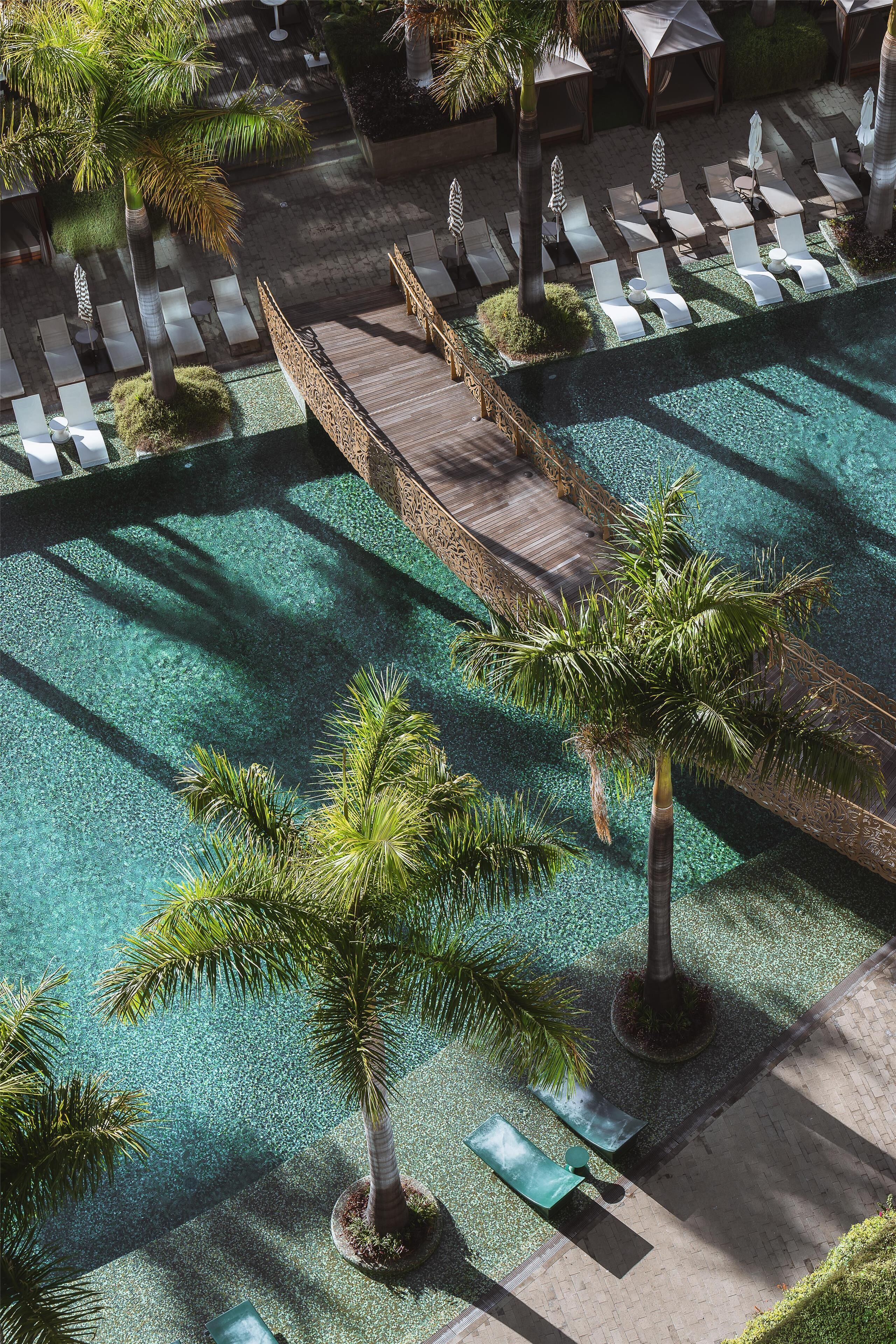 A rooftop pool area with lounge chairs, palm trees, and a wooden deck.