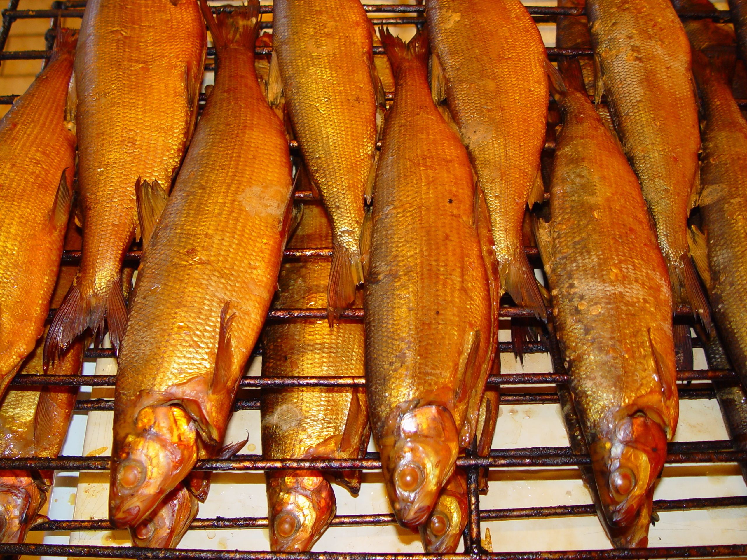 Several fish on a grill.