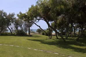 A well-maintained grassy area with trees and a clear view of the sea. - Costa Brada (Gallipoli)