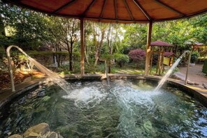 Un manantial de aguas termales con un toldo de madera, rodeado de árboles y un sendero de piedra.